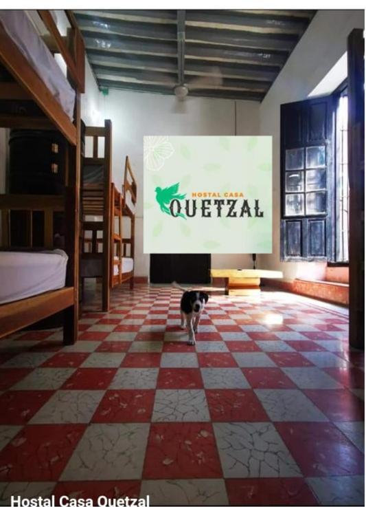Hostel Casa Quetzal Campeche Zewnętrze zdjęcie